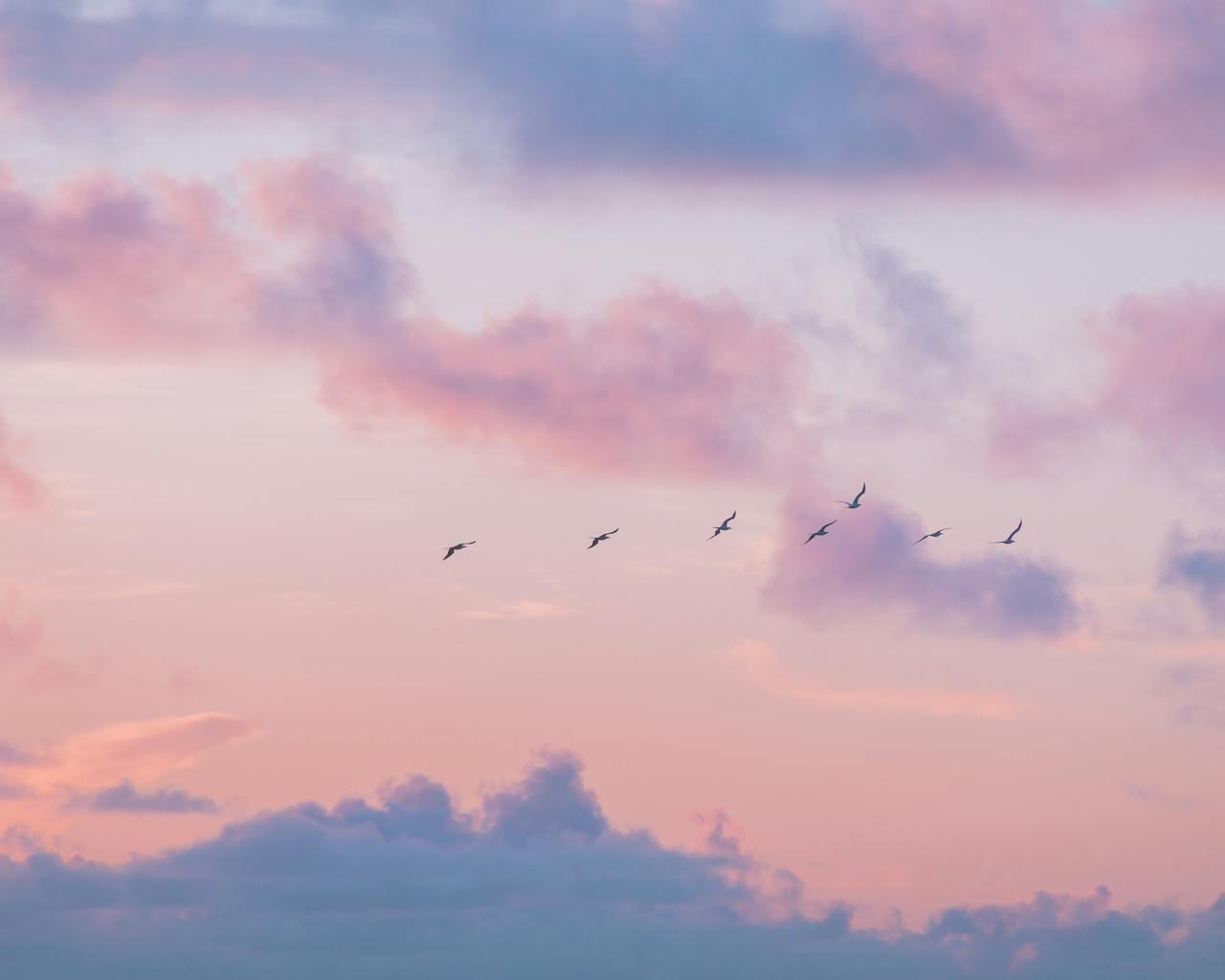 Home A tranquil twilight sky painted in pastels with a flock of birds in flight, creating a serene atmosphere.