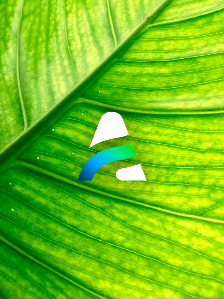 macro feuille logo macro feuille logo