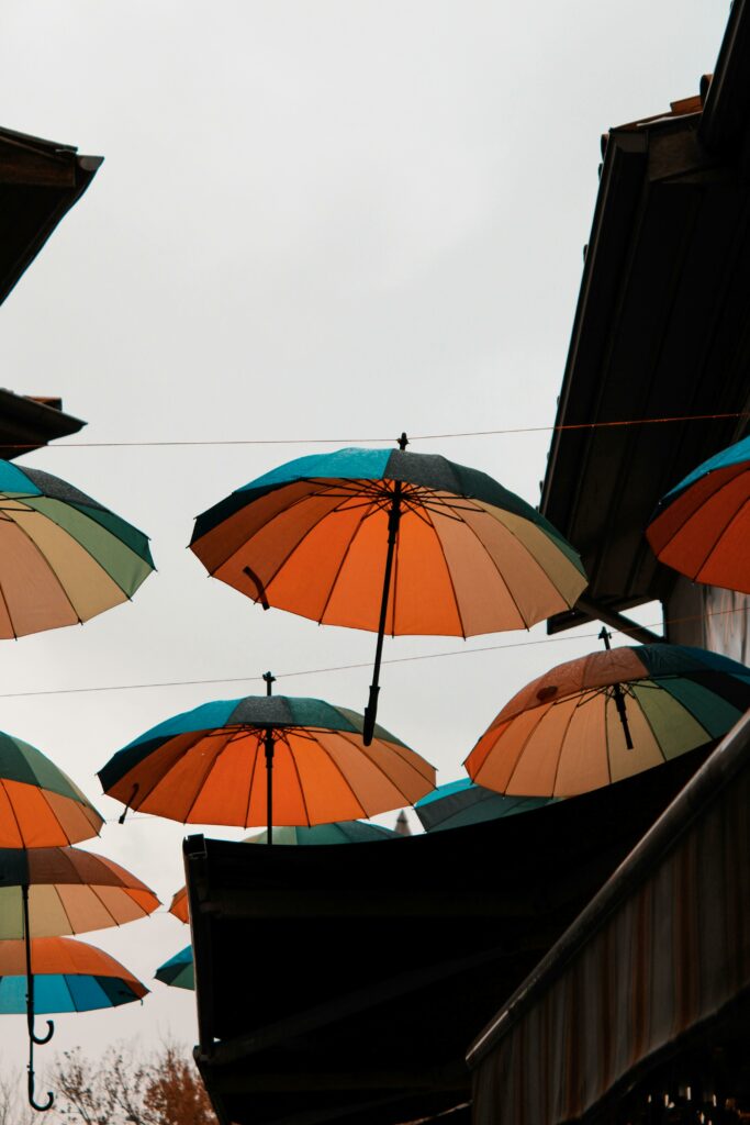 pexels berat dikme 398664160 14826975(1) pexels berat dikme 398664160 14826975(1)